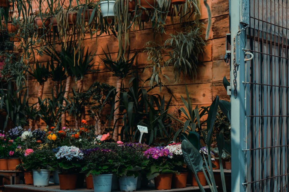 Houseplant Wall