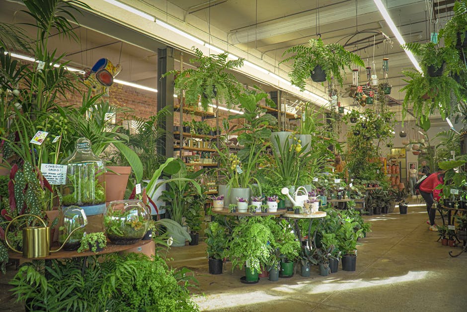 Rare Plants