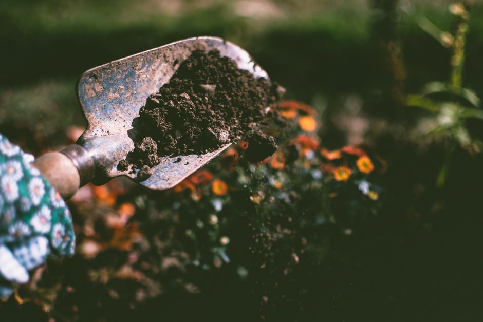 Seasonal Planting