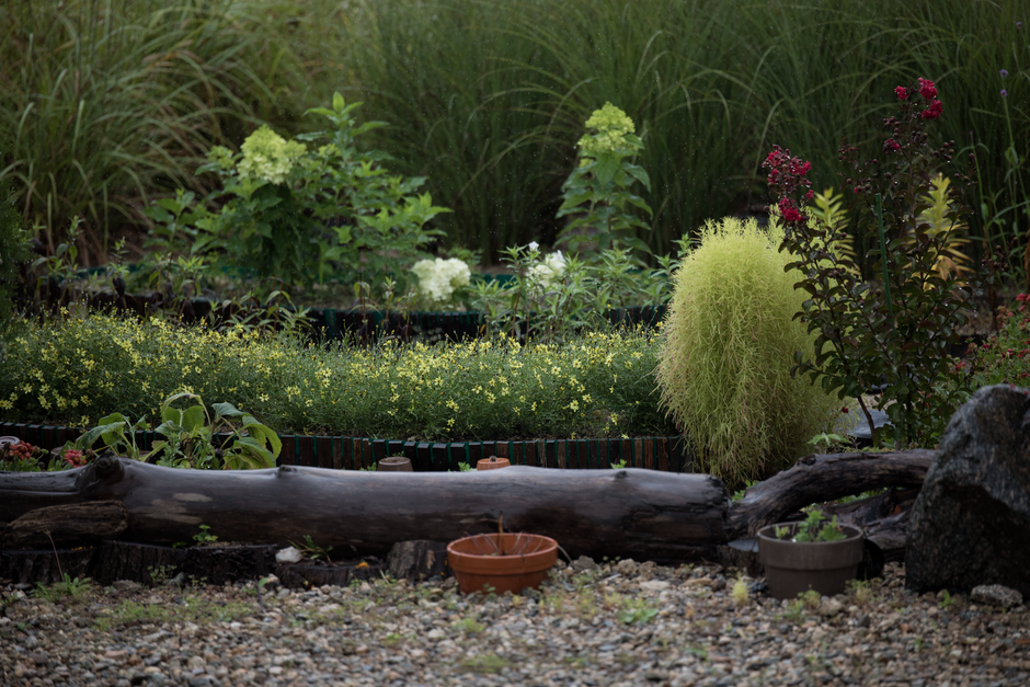 Fernway Gardens & Grounds