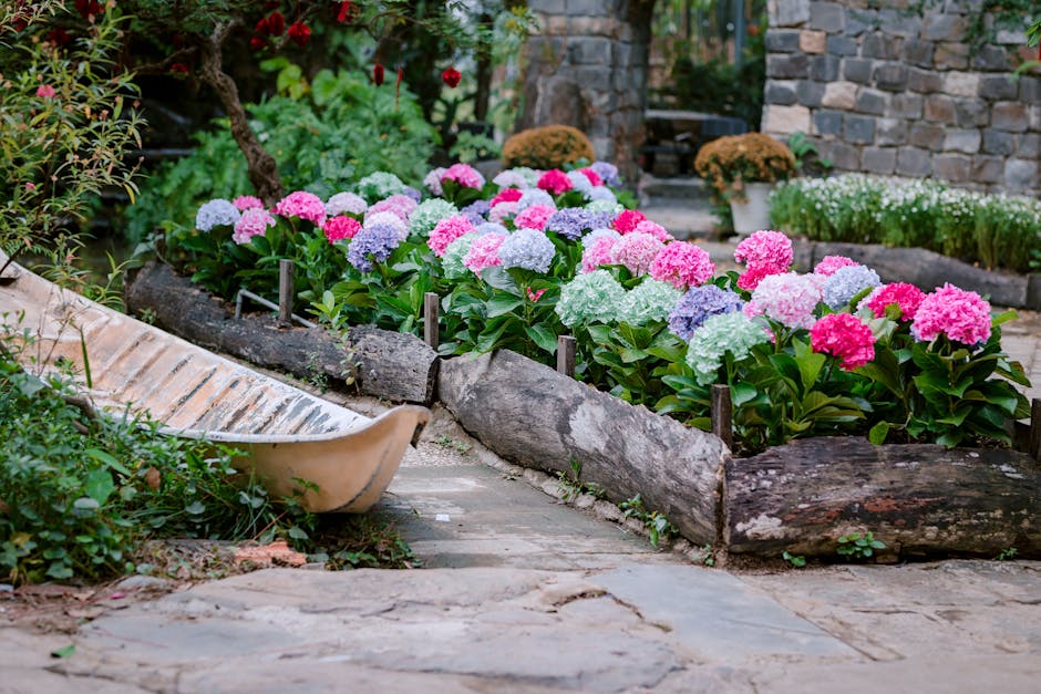 Stone Path