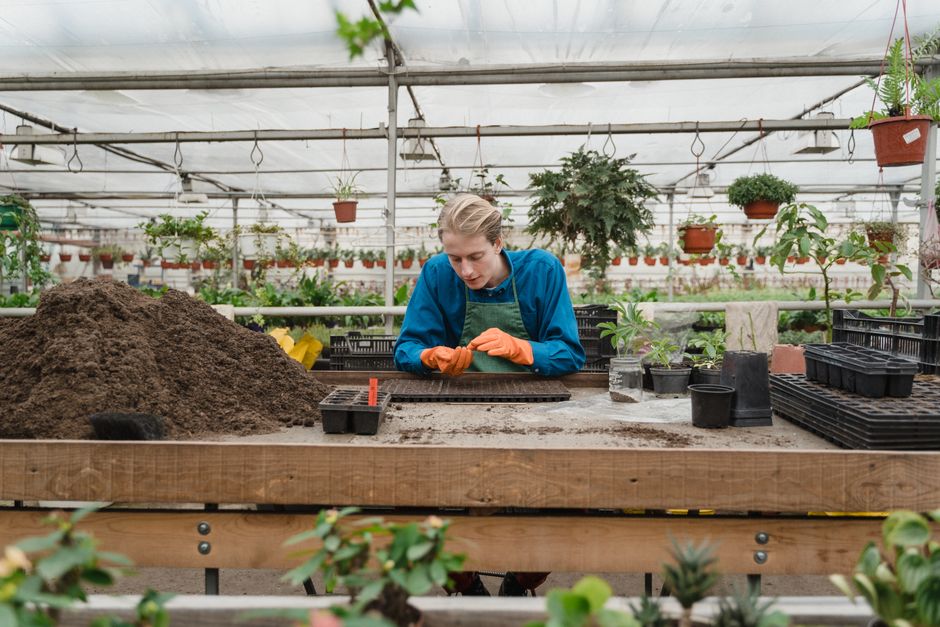 Plant Care Kit