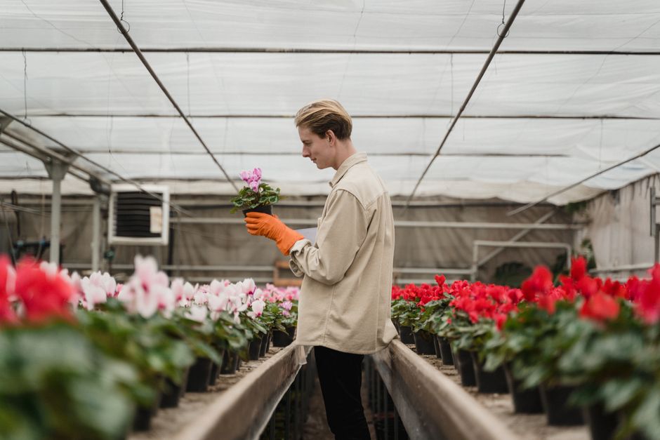 Planting & Beds