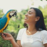 Nearby Blue & Gold Macaw